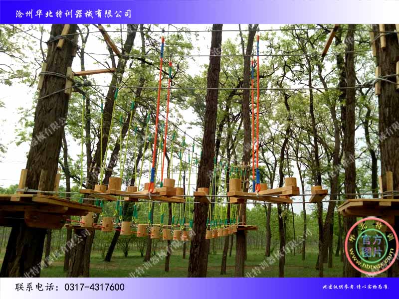 叢林探險(xiǎn).jpg 叢林探險(xiǎn).jpg