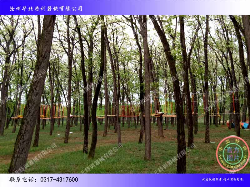 叢林探險(xiǎn)02.jpg 叢林探險(xiǎn)02.jpg