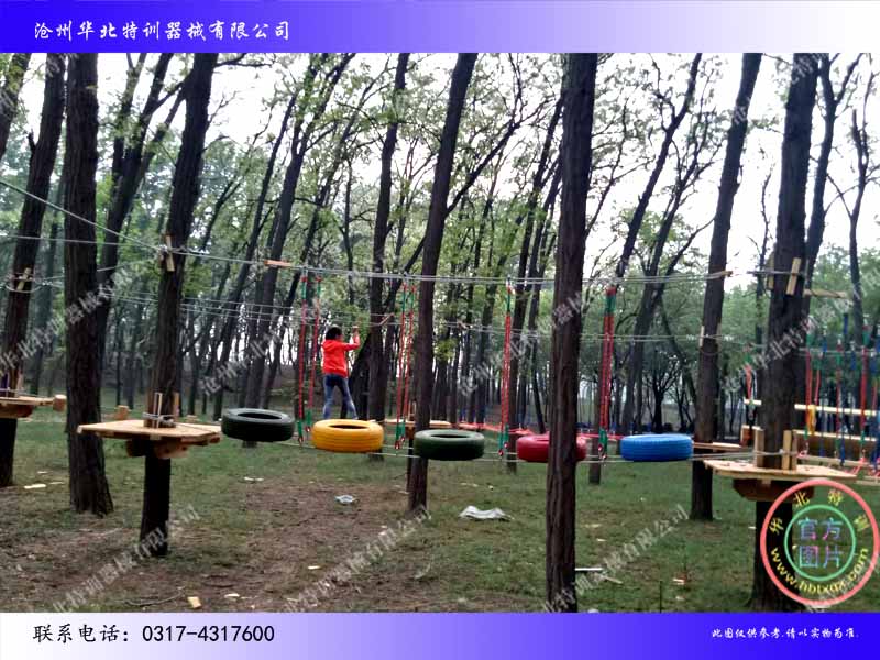 叢林探險(xiǎn)05.jpg 叢林探險(xiǎn)05.jpg