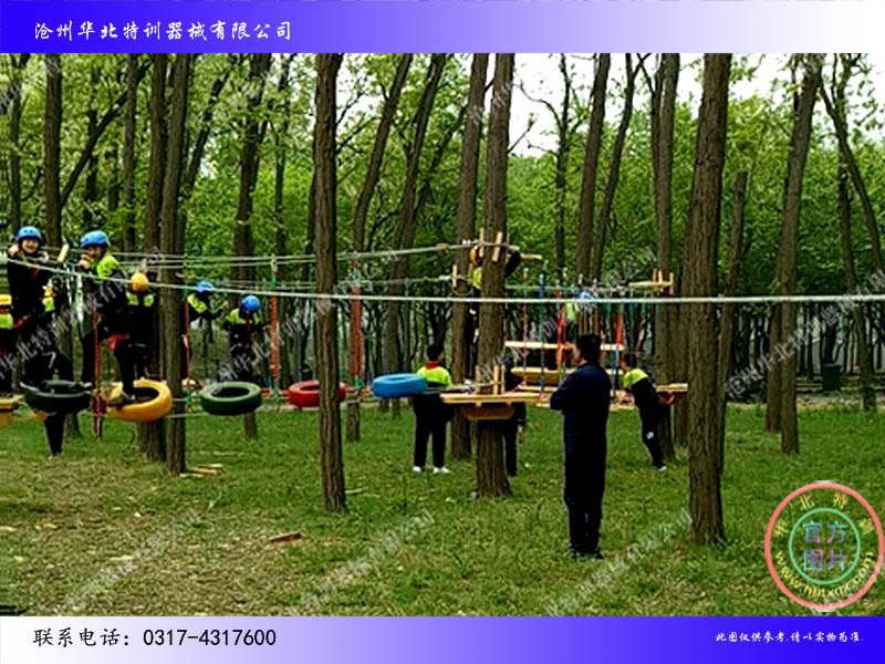 樹上拓展03.jpg 樹上拓展03.jpg