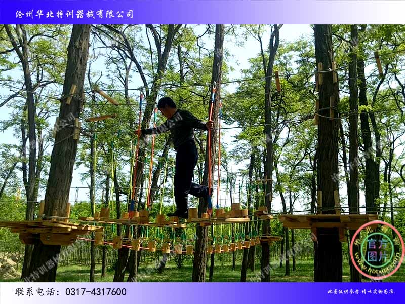 梅花樁.jpg 梅花樁.jpg