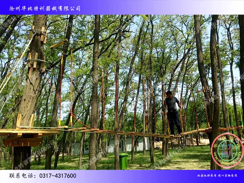 圓木橋.jpg 圓木橋.jpg