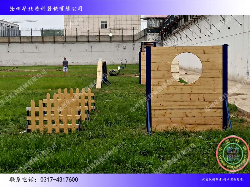 山東禹城警犬訓練.jpg 山東禹城警犬訓練.jpg