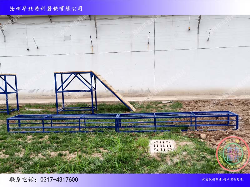 山東禹城警犬訓練03.jpg 山東禹城警犬訓練03.jpg