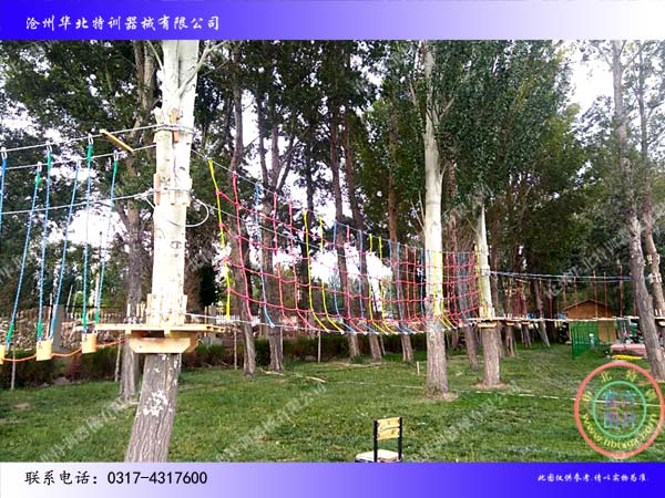 叢林探險.jpg 叢林探險.jpg