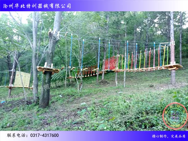 叢林探險.jpg 叢林探險.jpg